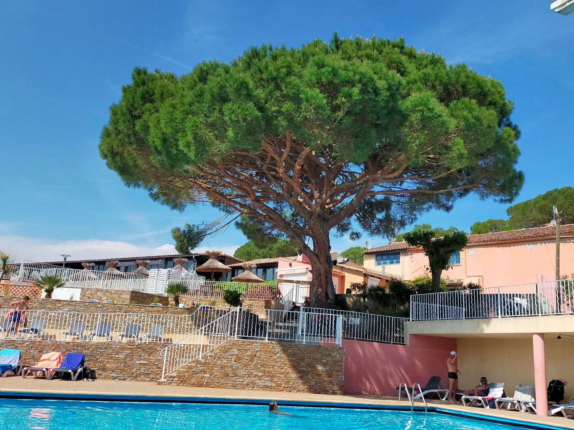 Le Tropezen Confort Tv Wifi Vod Salle De Sport ! 4* Gassin